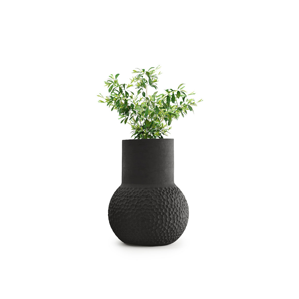 Stellar Planter