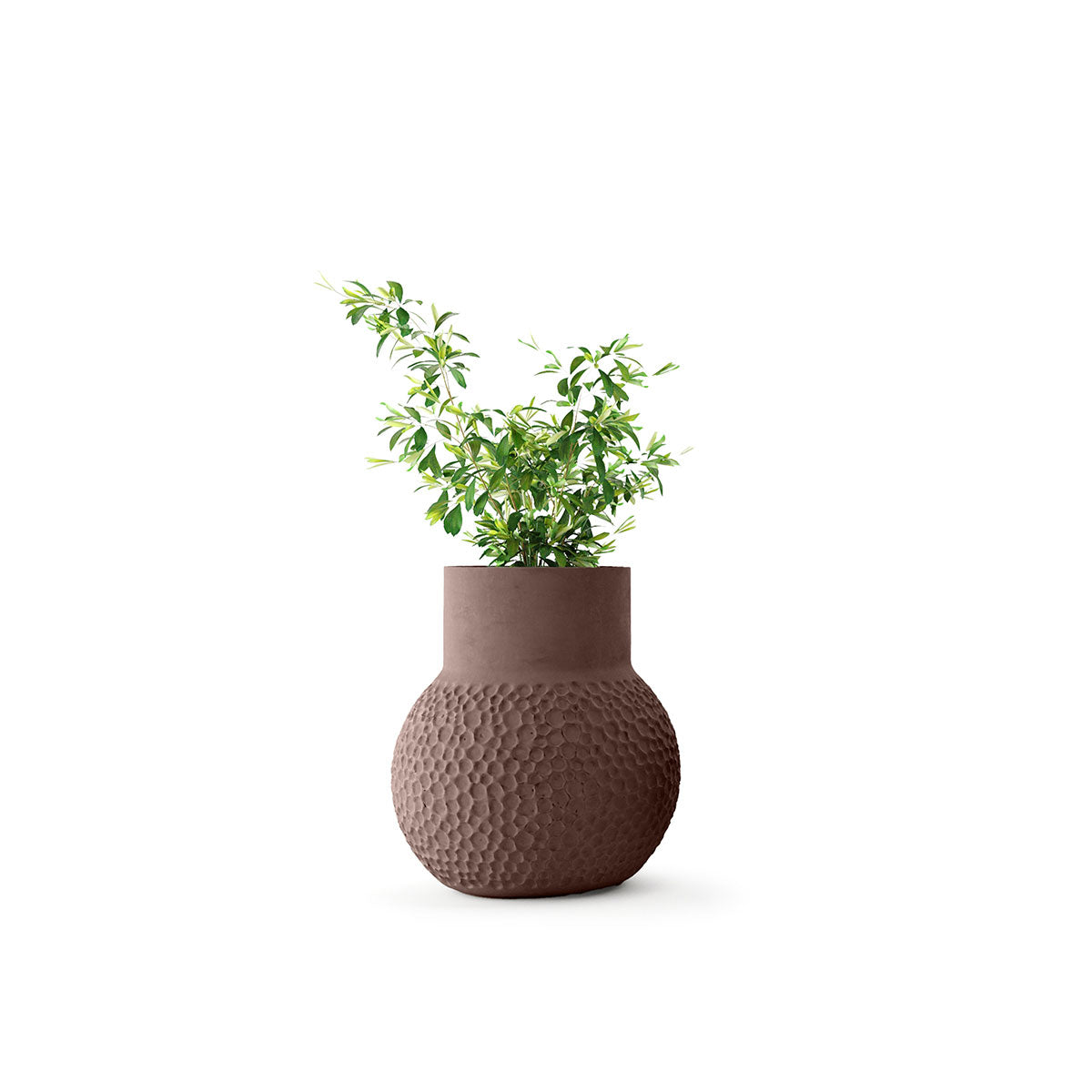 Stellar Planter