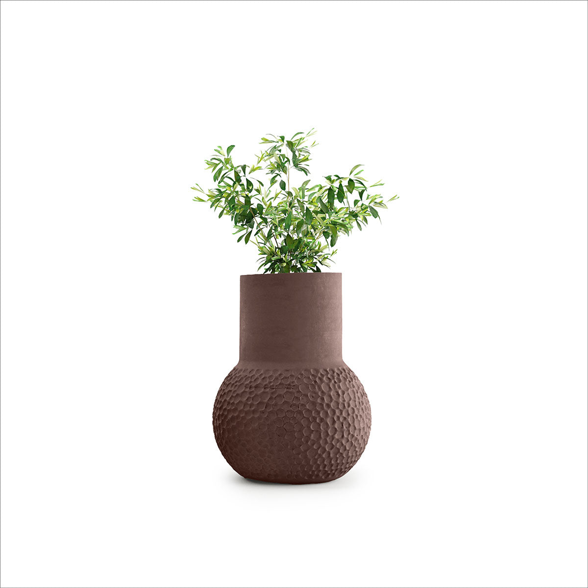 Stellar Planter