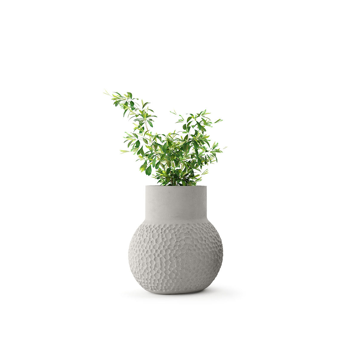 Stellar Planter