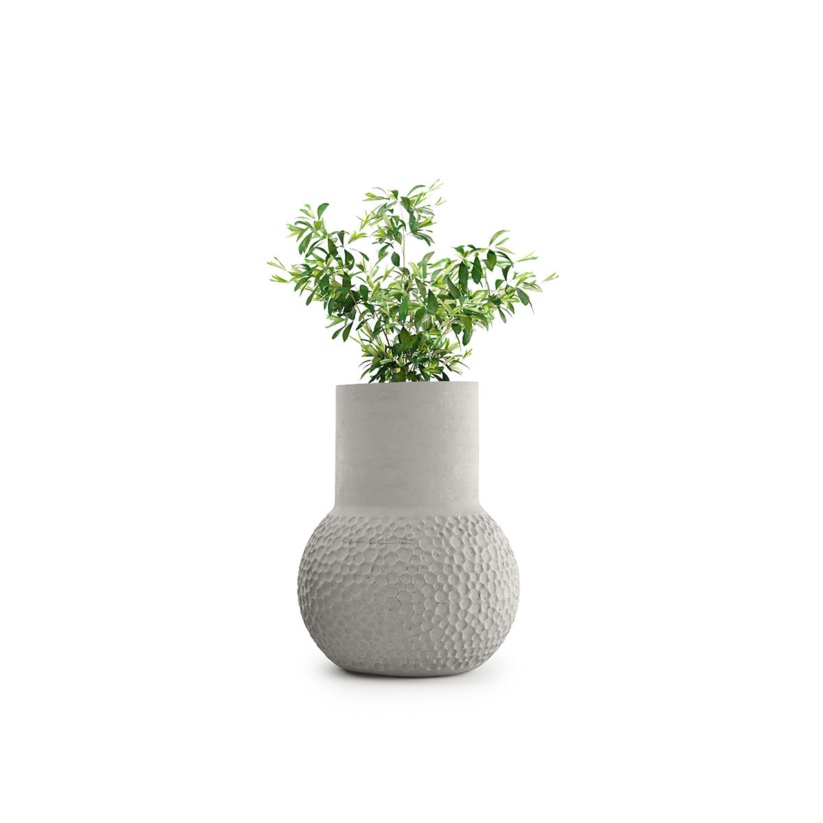 Stellar Planter