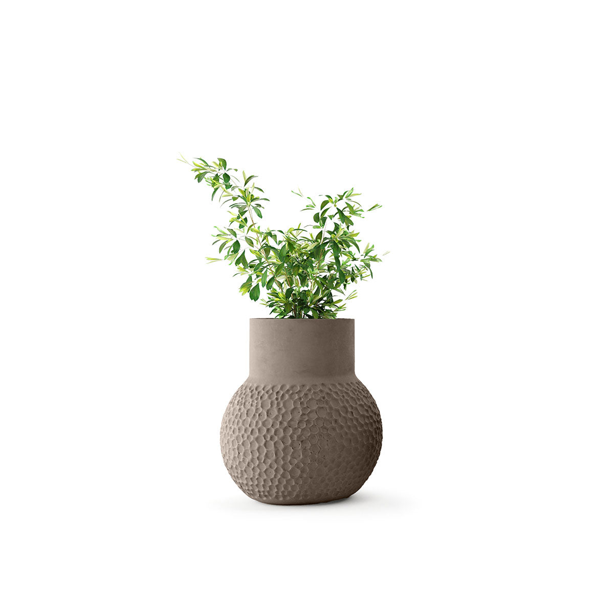 Stellar Planter
