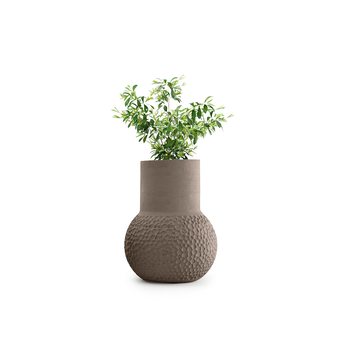 Stellar Planter