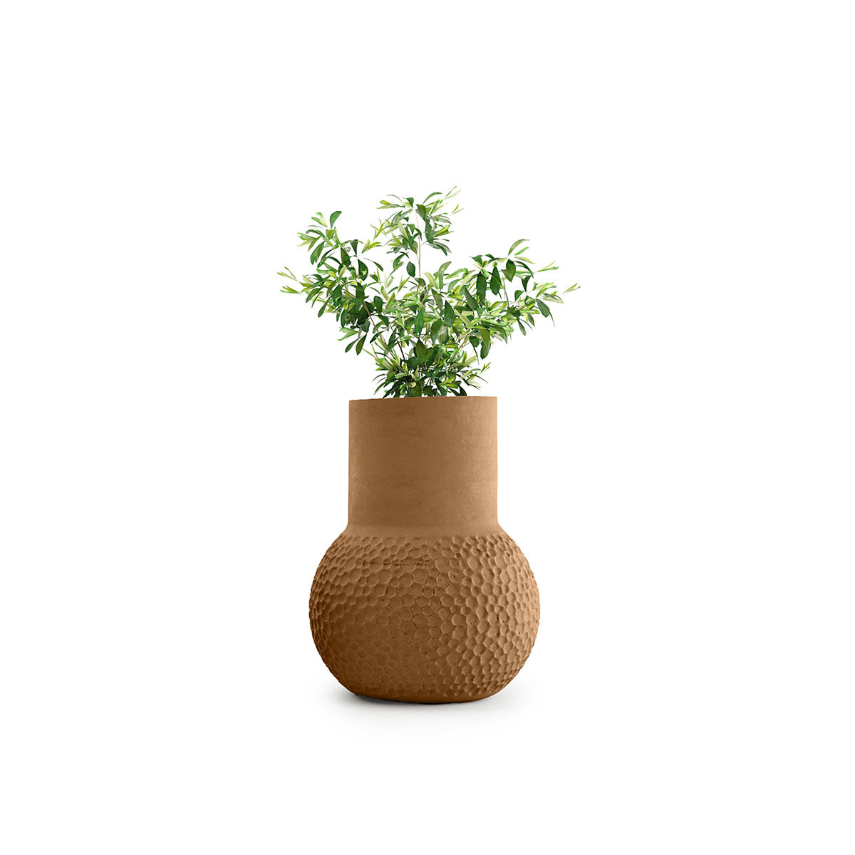 Stellar Planter