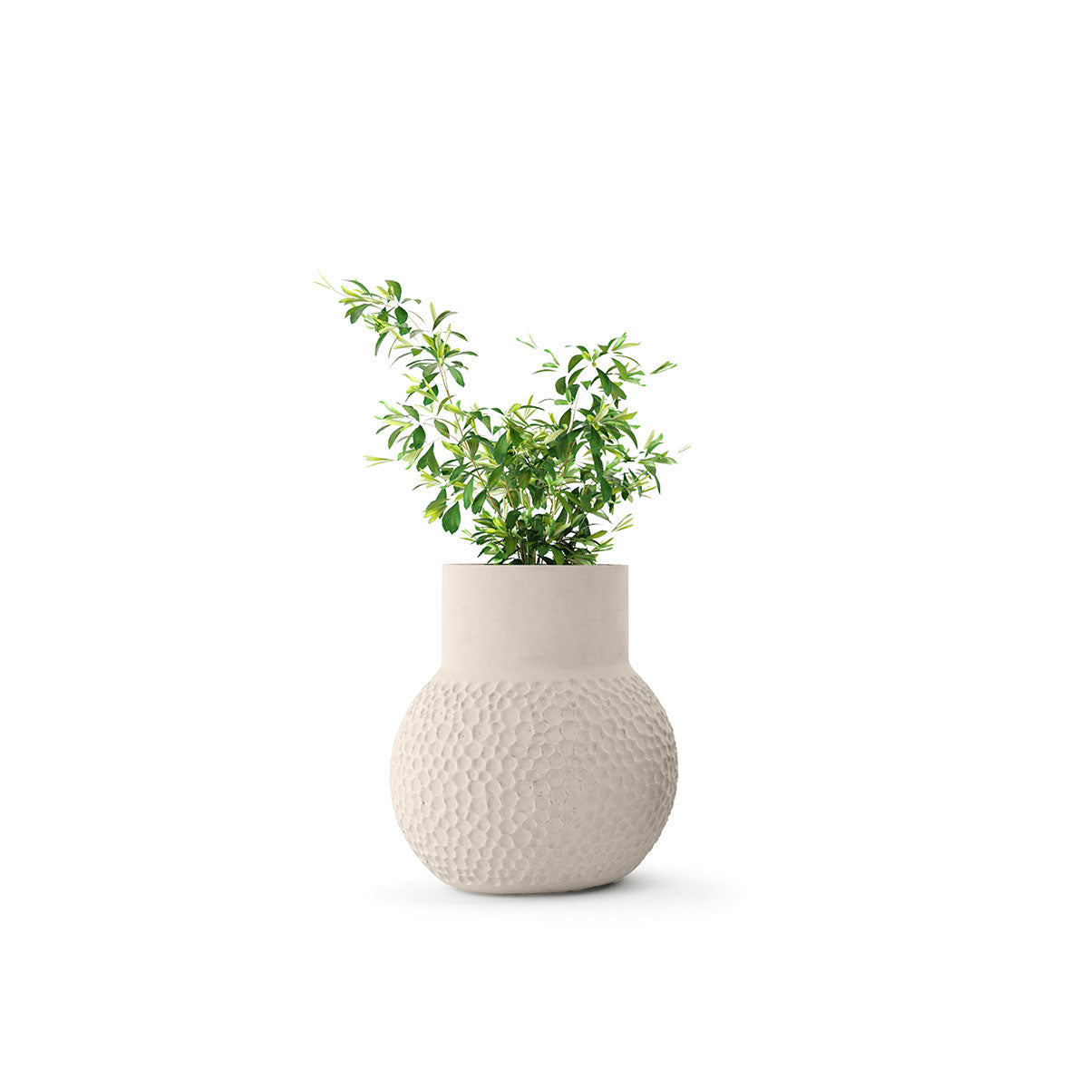 Stellar Planter