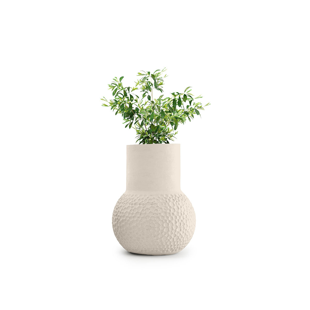 Stellar Planter