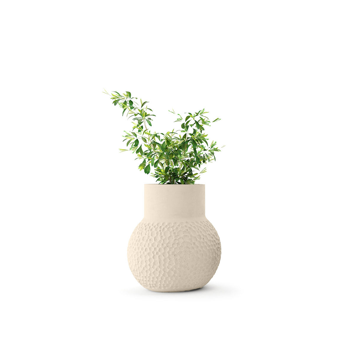 Stellar Planter