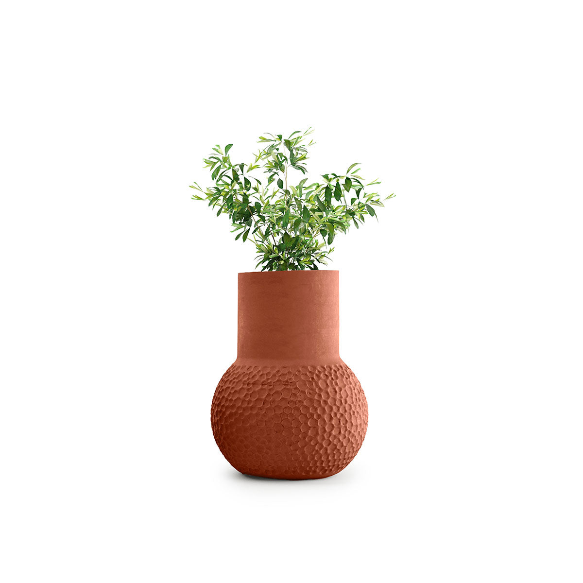 Stellar Planter