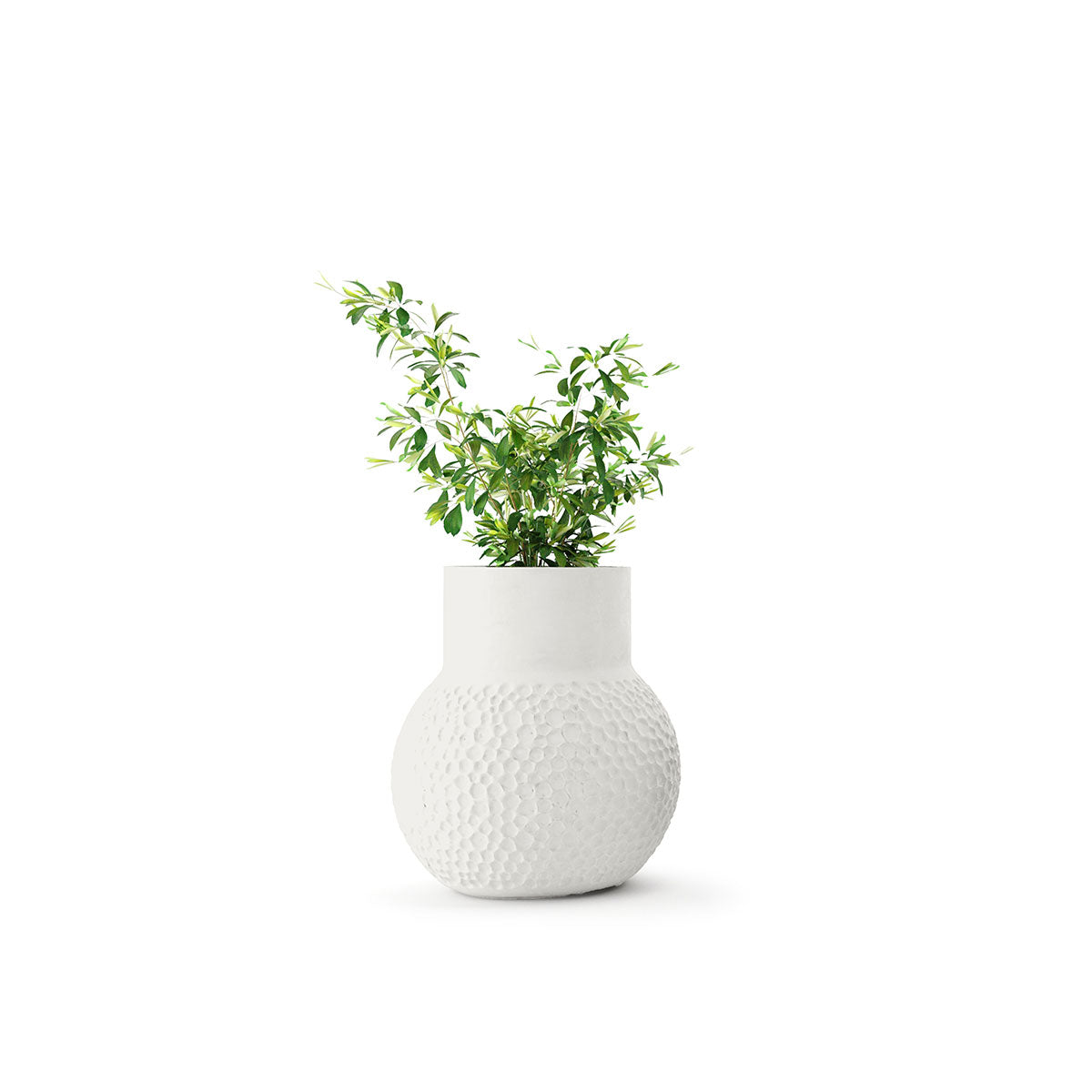 Stellar Planter