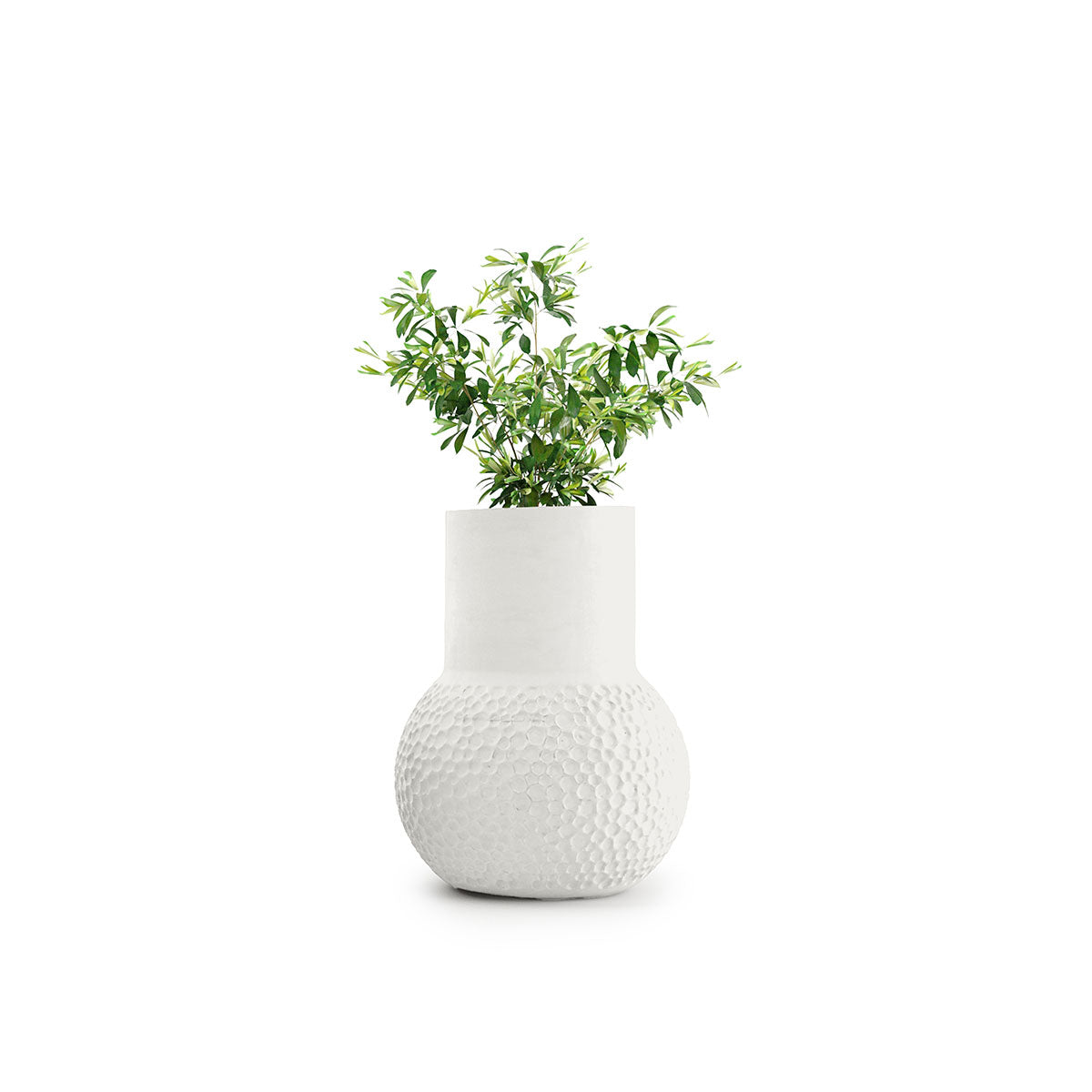 Stellar Planter