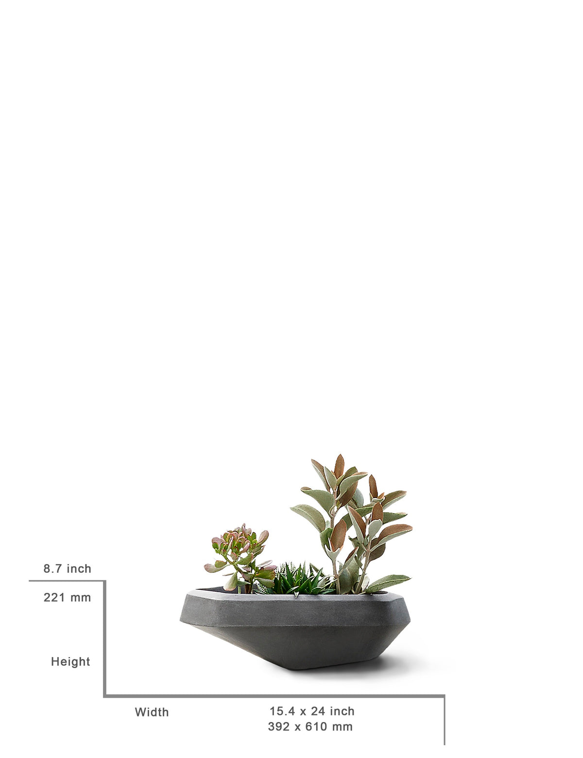 Steen Planter