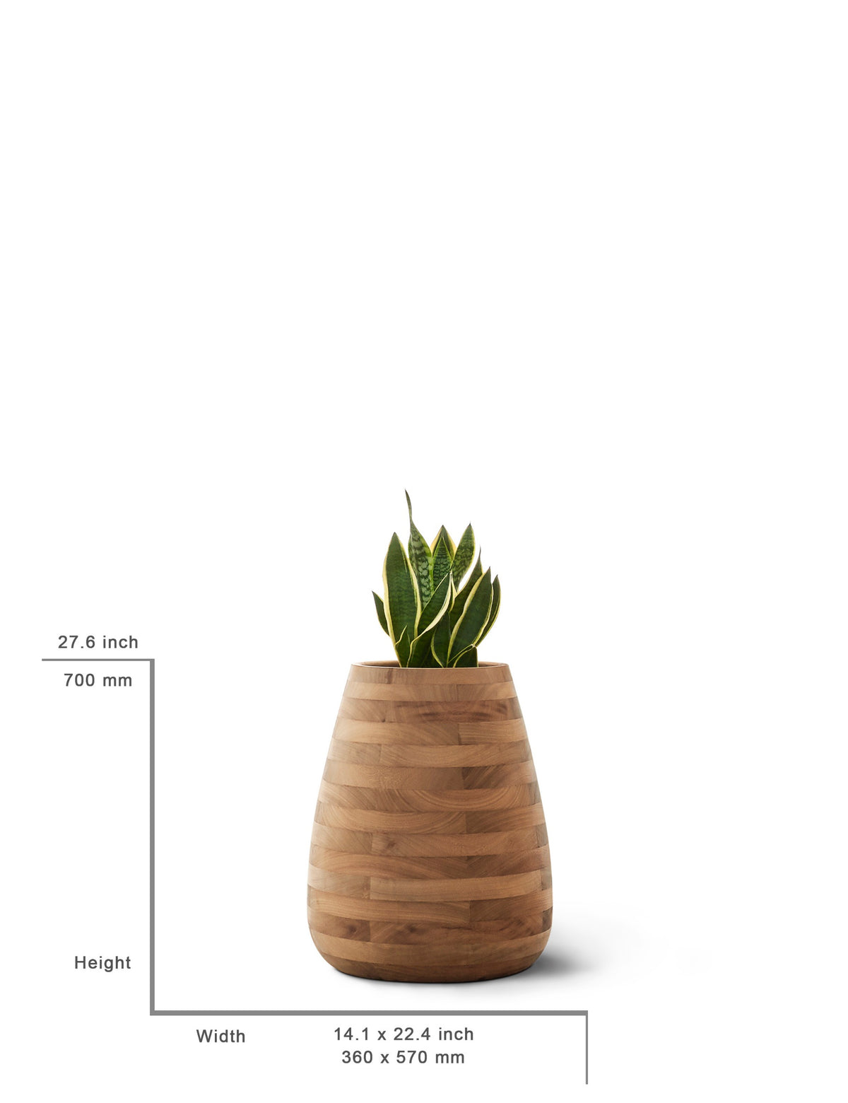 Tuber Planter Wood