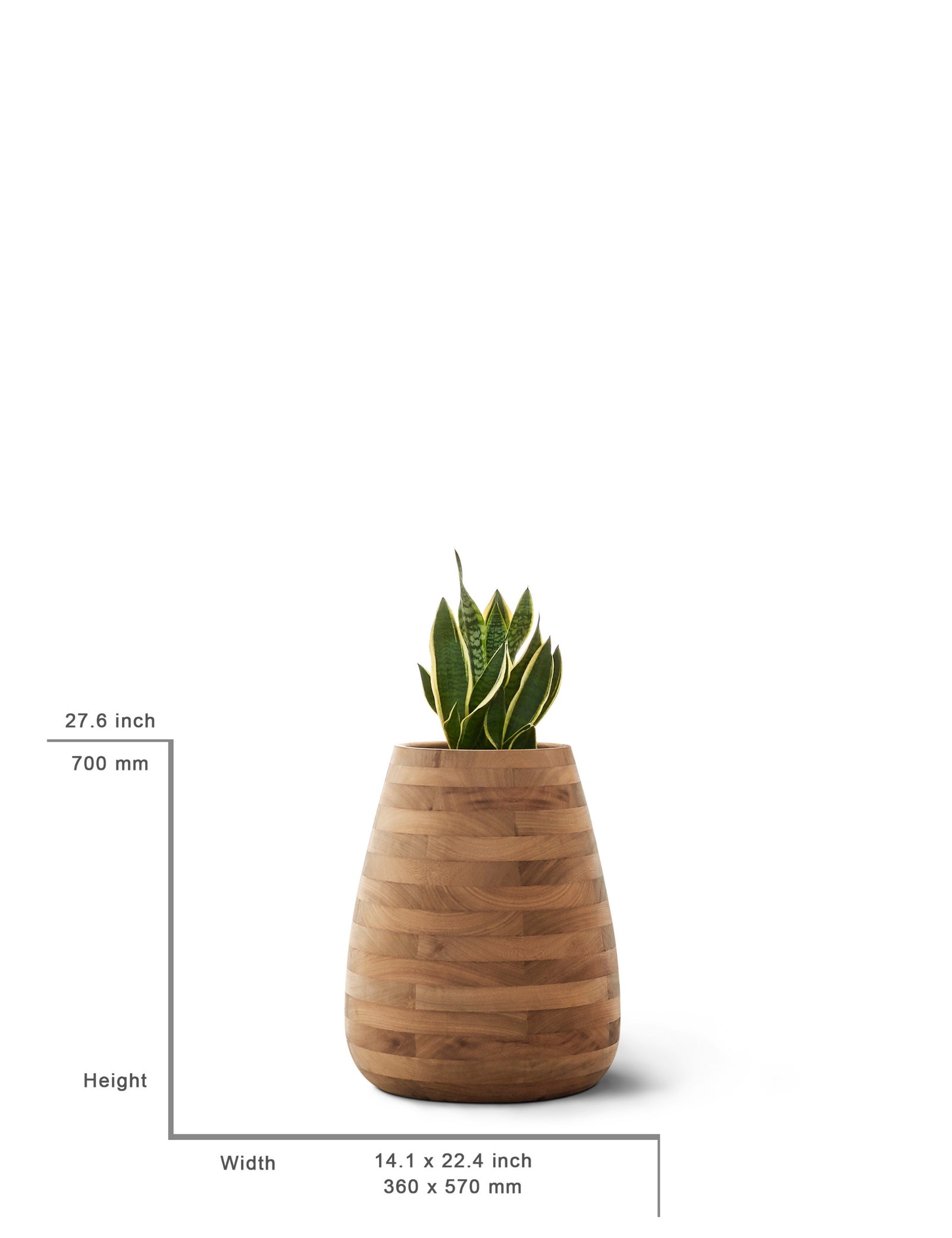 Tuber Planter Wood