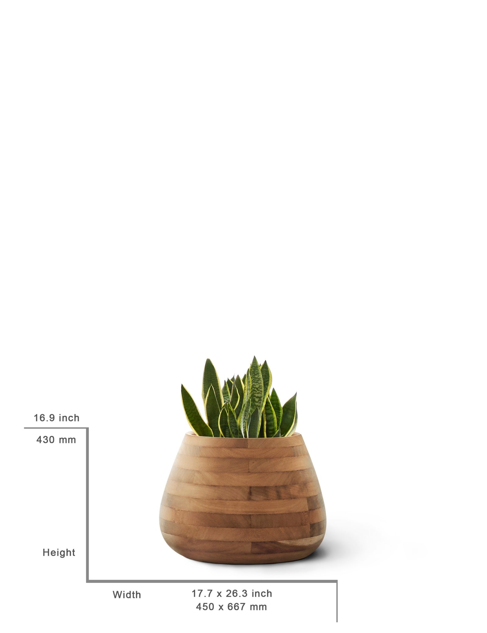 Tuber Planter Wood