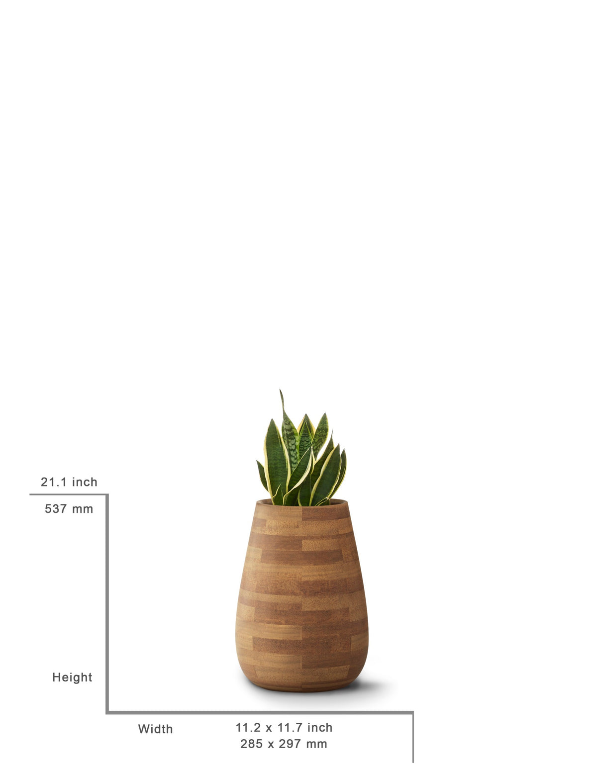 Tuber Planter Wood