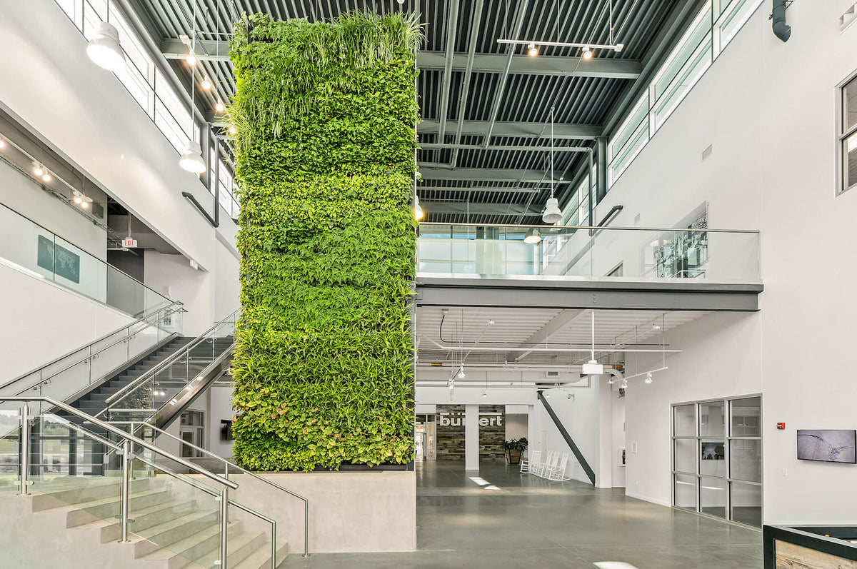 LivePanel Indoor Living Wall