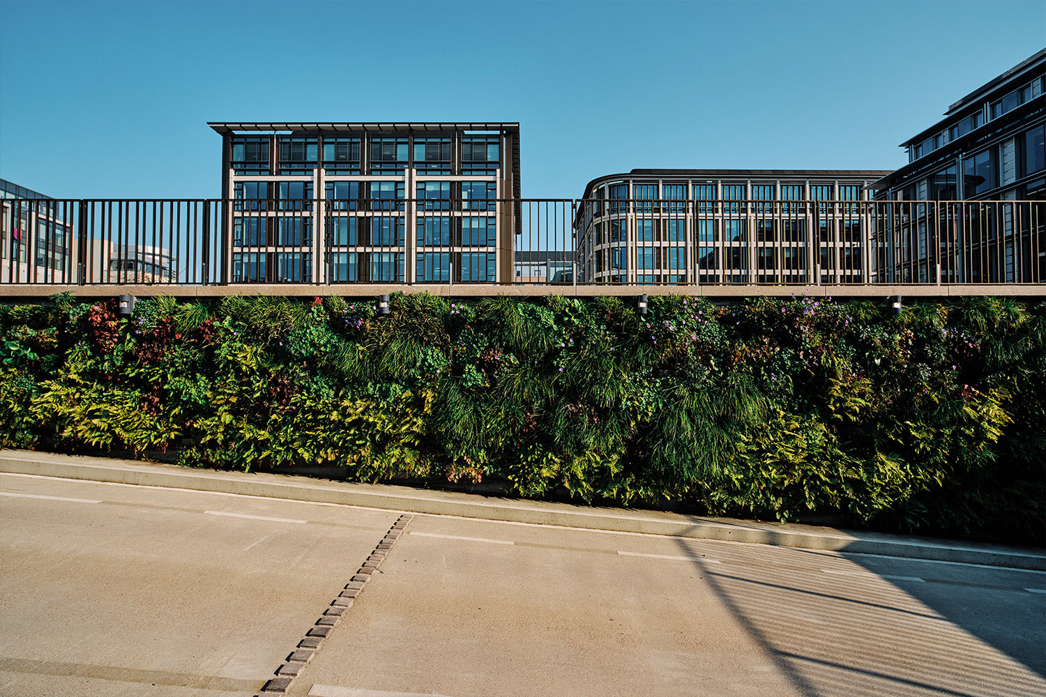 Outdoor Living Wall Panels