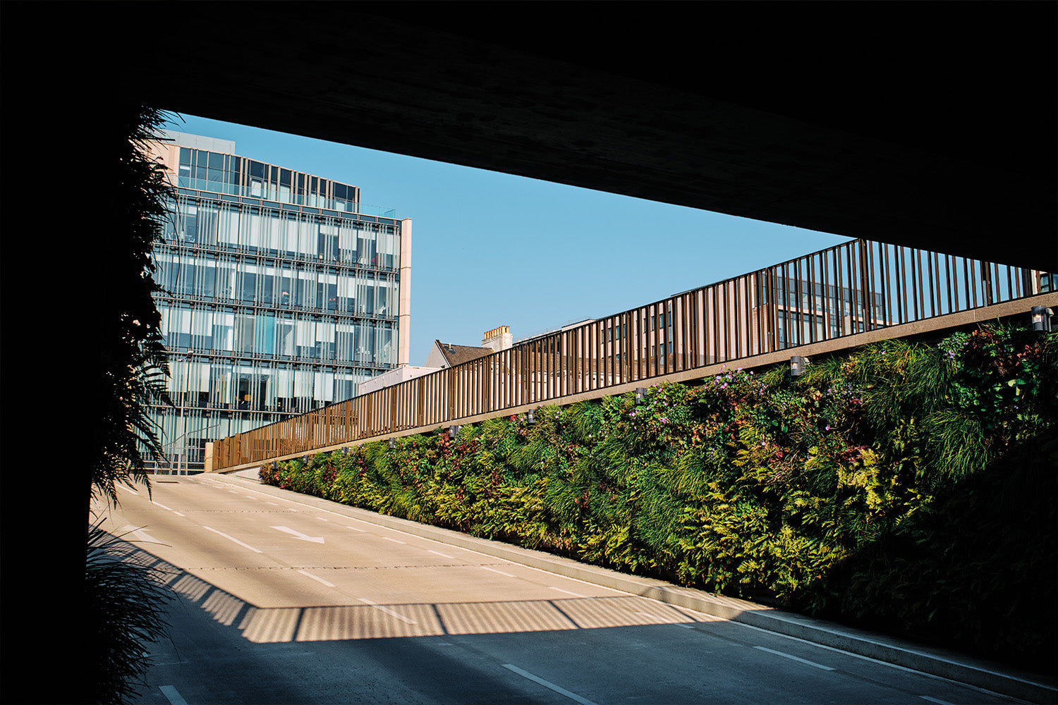 Outdoor Living Wall Panels