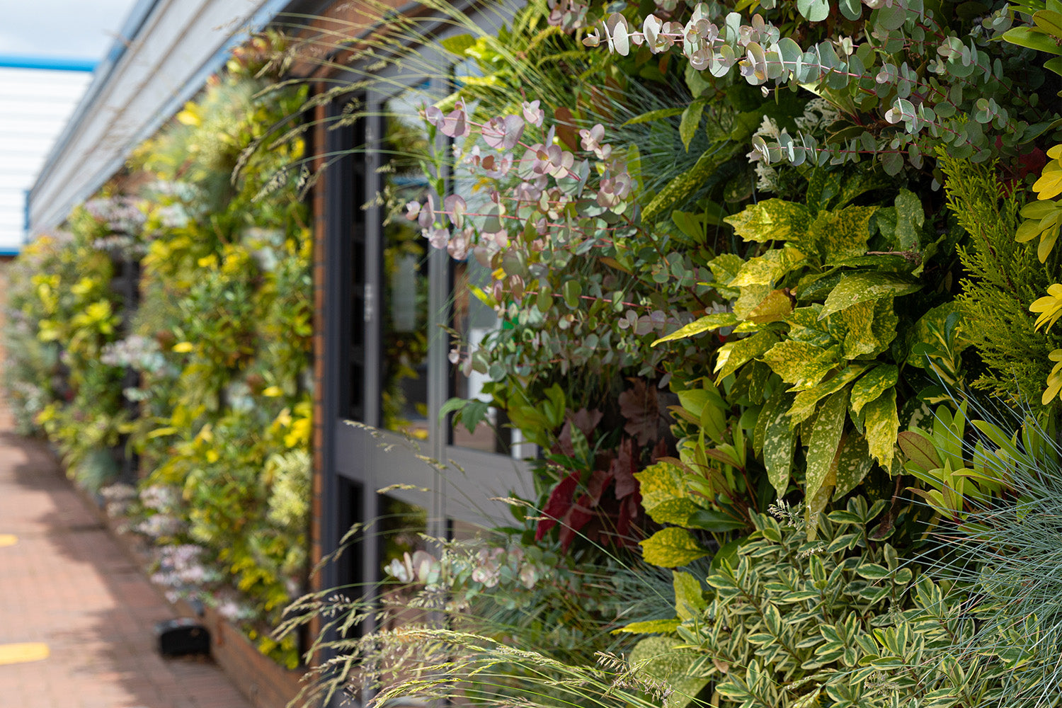 Outdoor Living Wall Panels