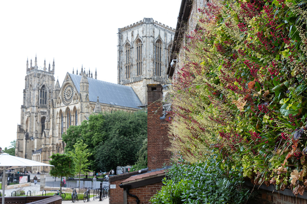 Outdoor Living Wall Panels