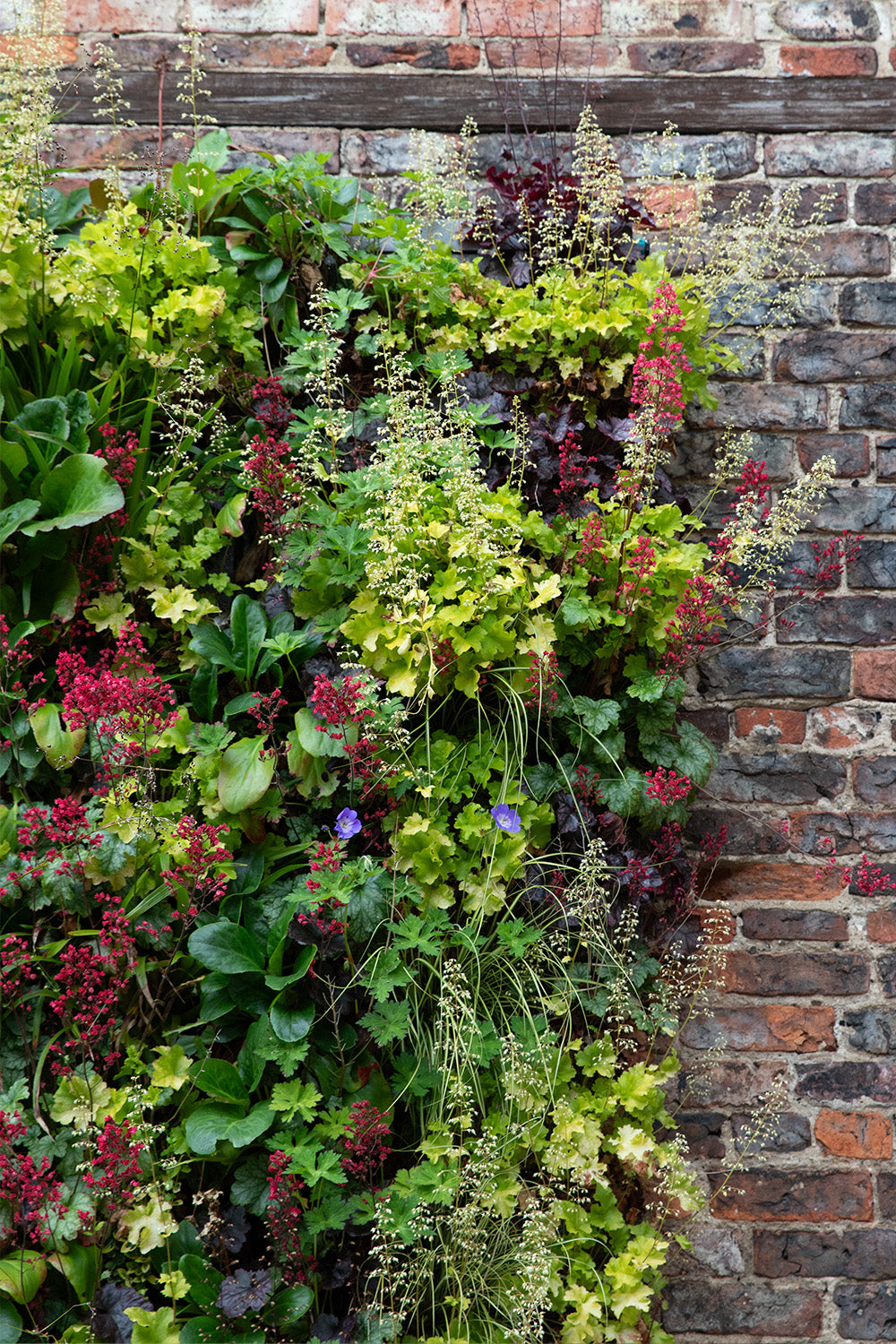 Outdoor Living Wall Panels
