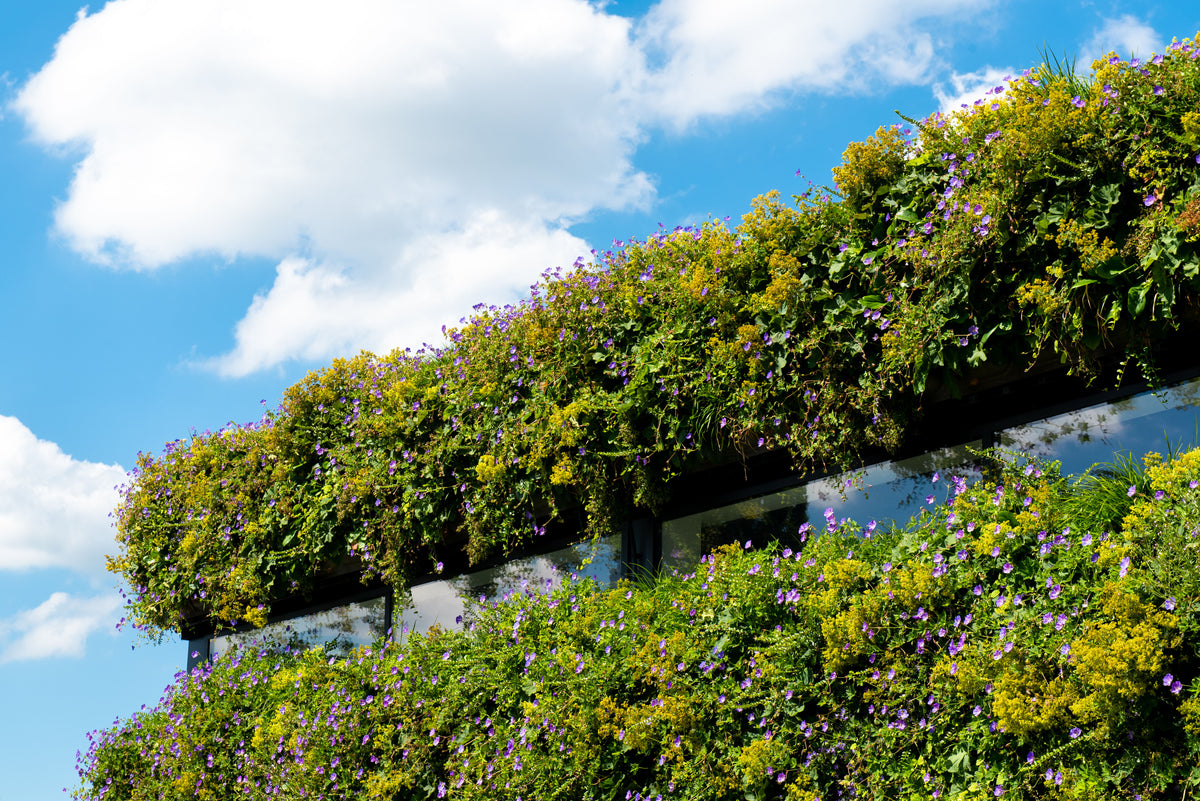 Outdoor Living Wall Panels