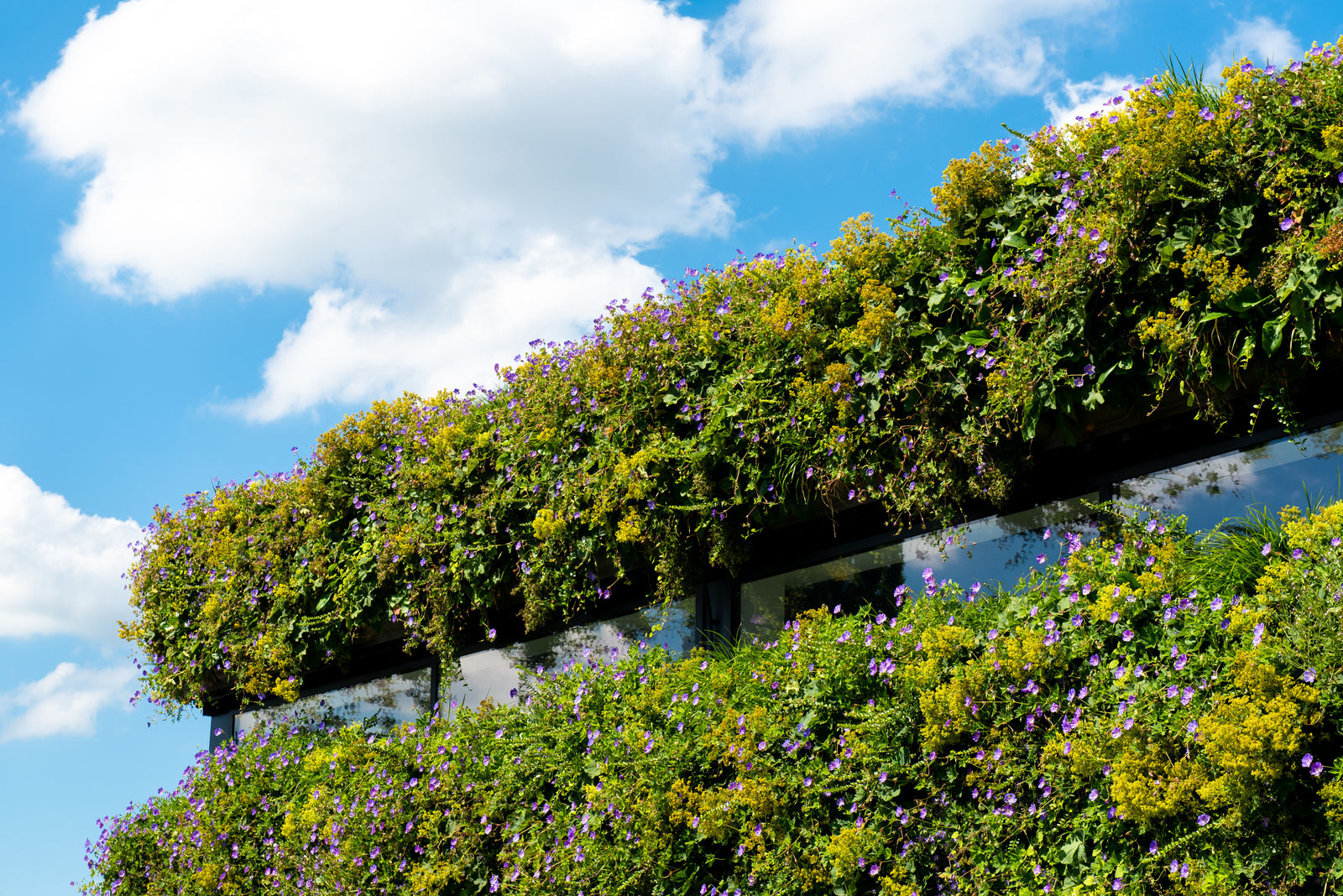 Outdoor Living Wall Panels