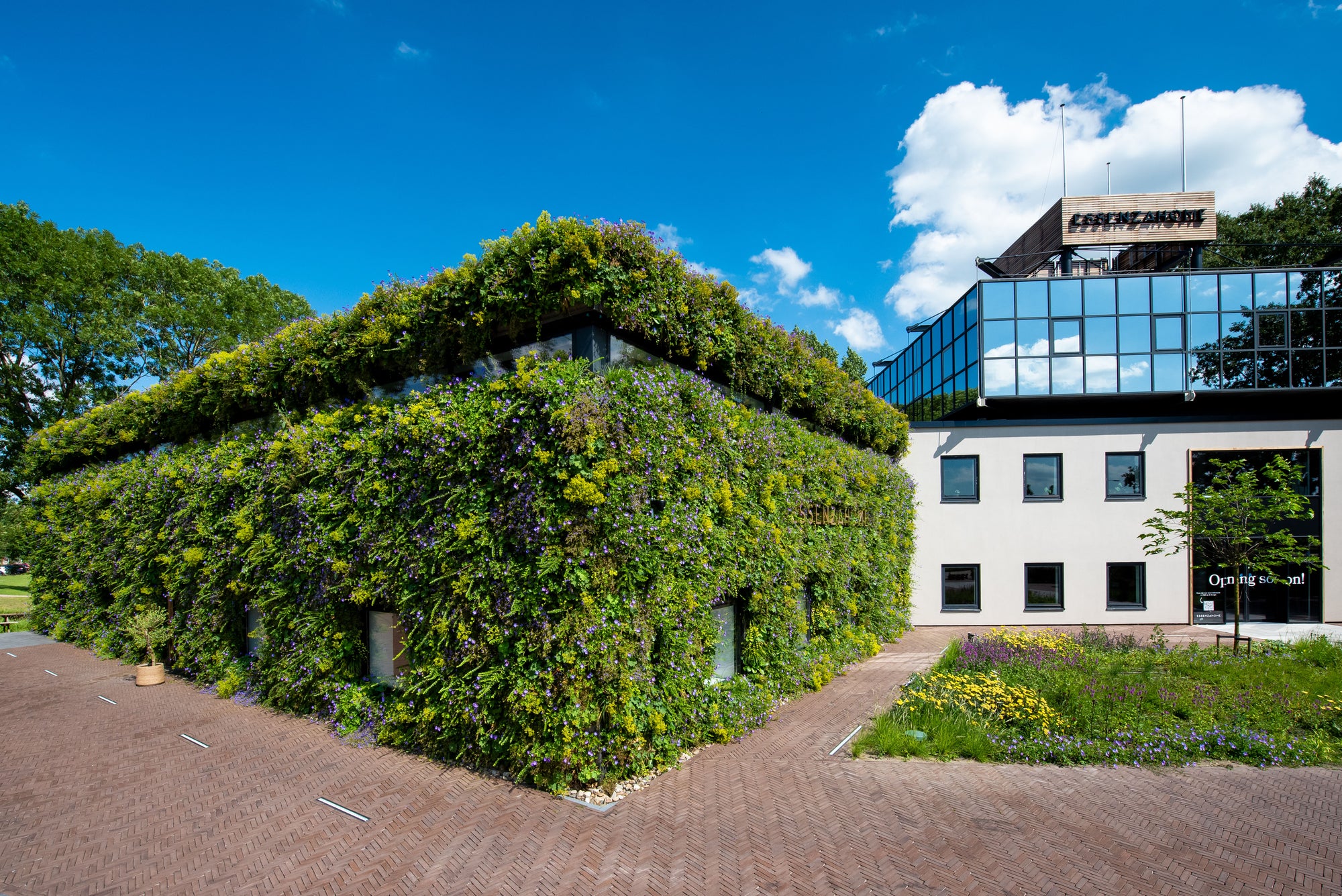 Outdoor Living Wall Panels