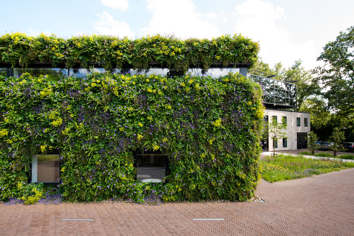 Outdoor Living Wall Panels