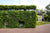 Outdoor Living Wall Panels