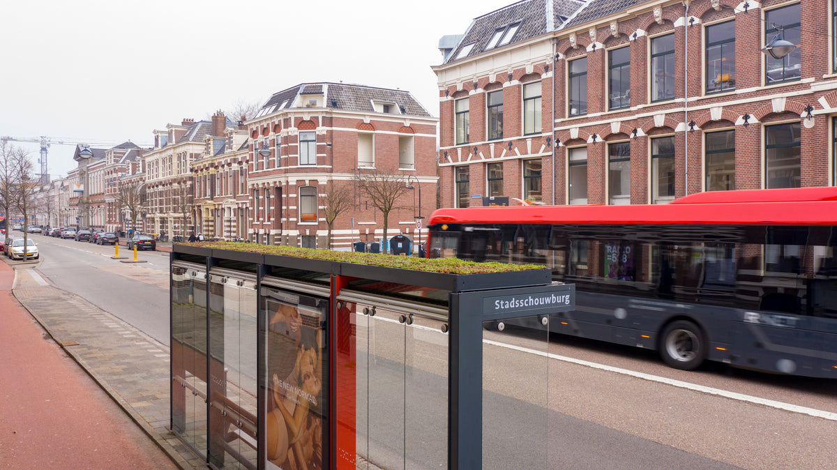 GreenRoof Sedum Panels