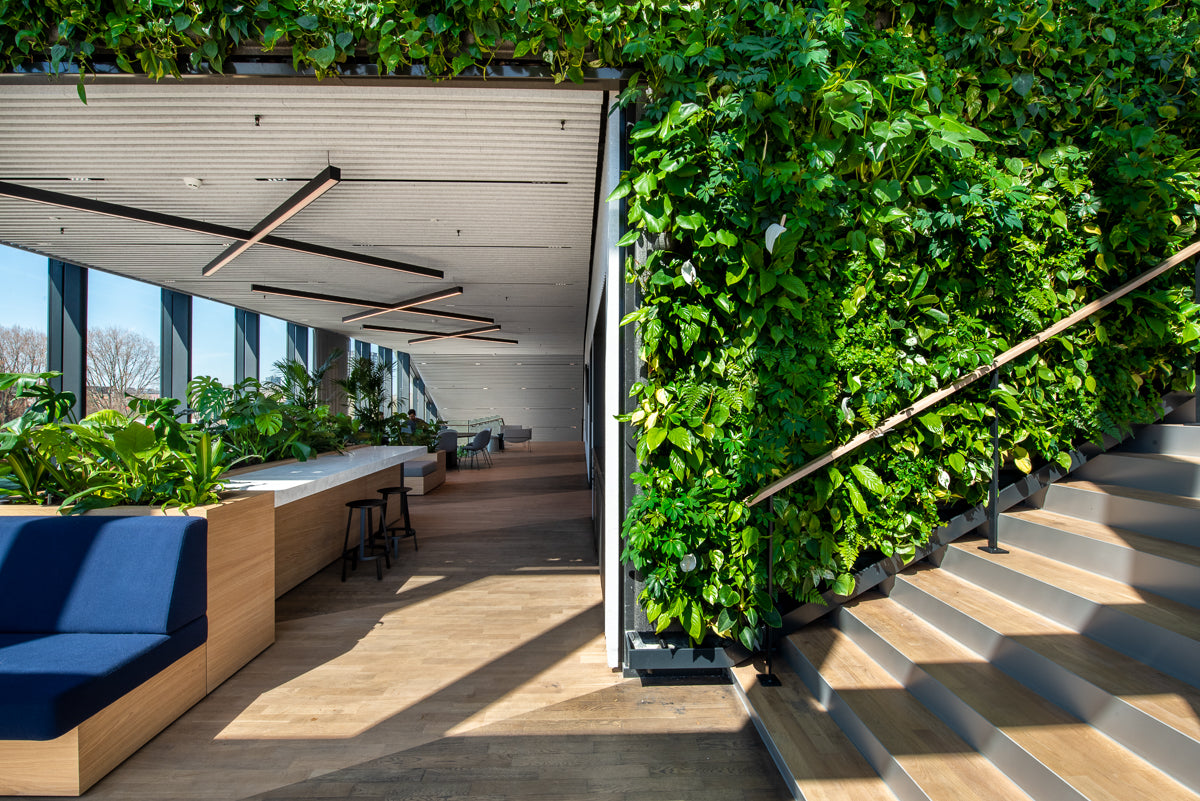 LivePanel Indoor Living Wall