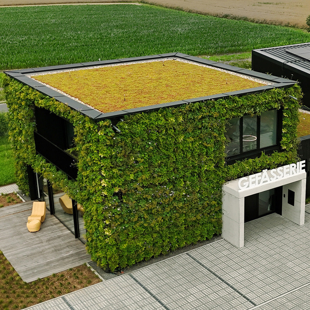 GreenRoof Sedum Panels