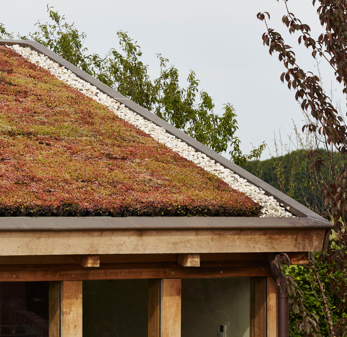 GreenRoof Sedum Panels