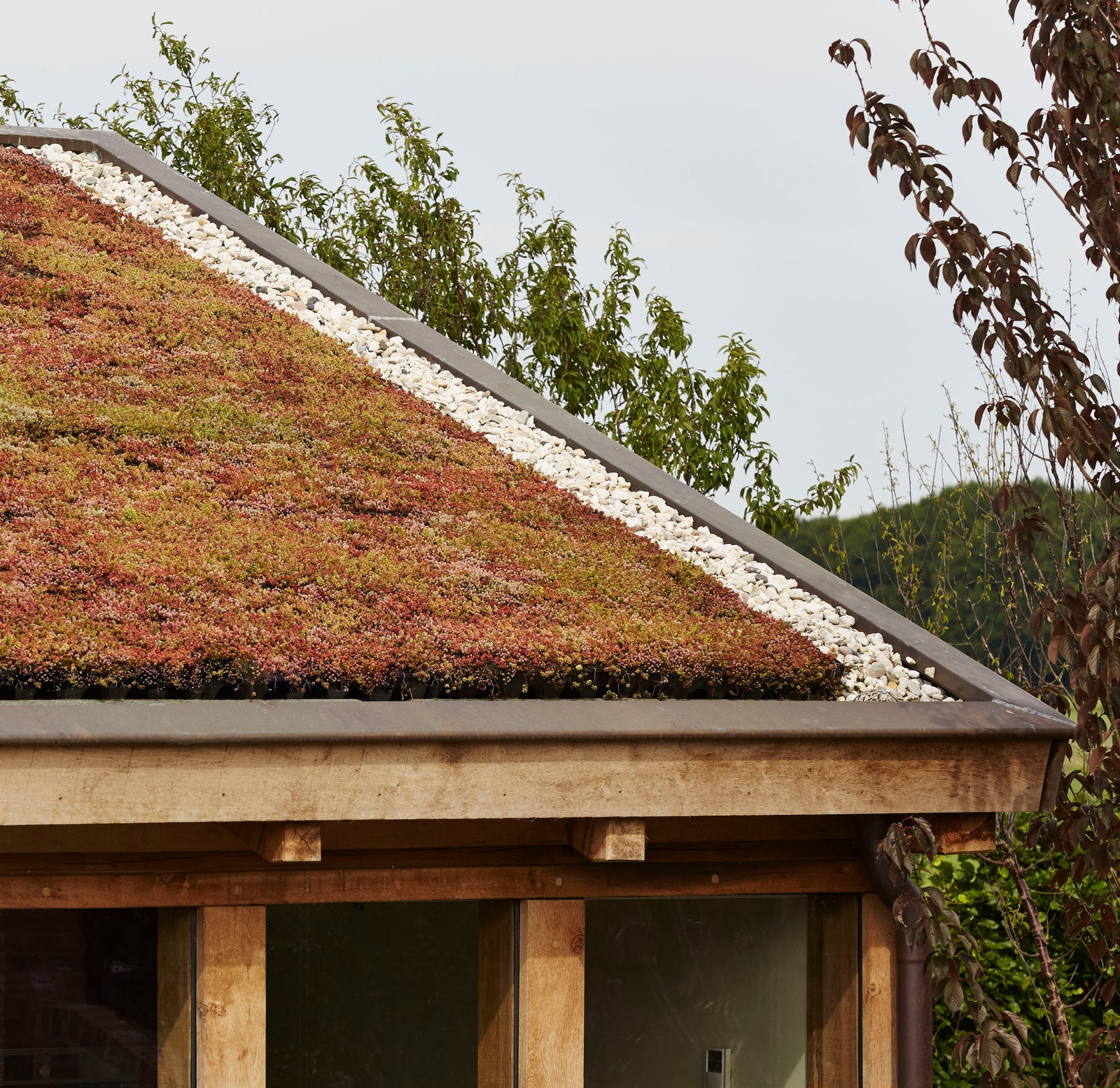GreenRoof Sedum Panels