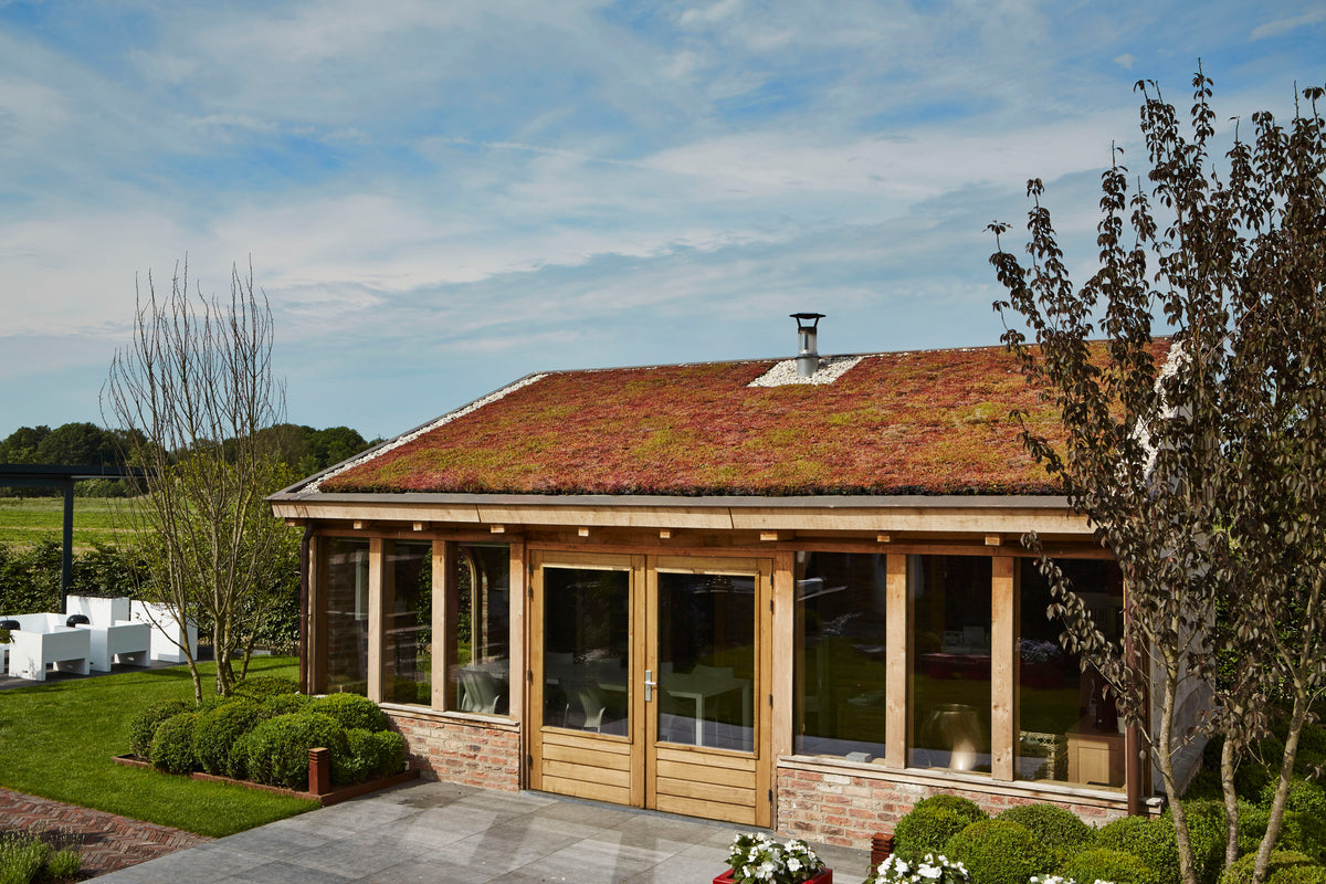 GreenRoof Sedum Panels