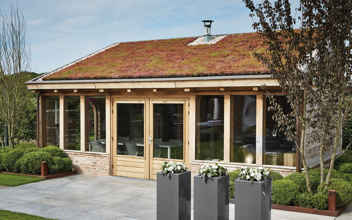 GreenRoof Sedum Panels