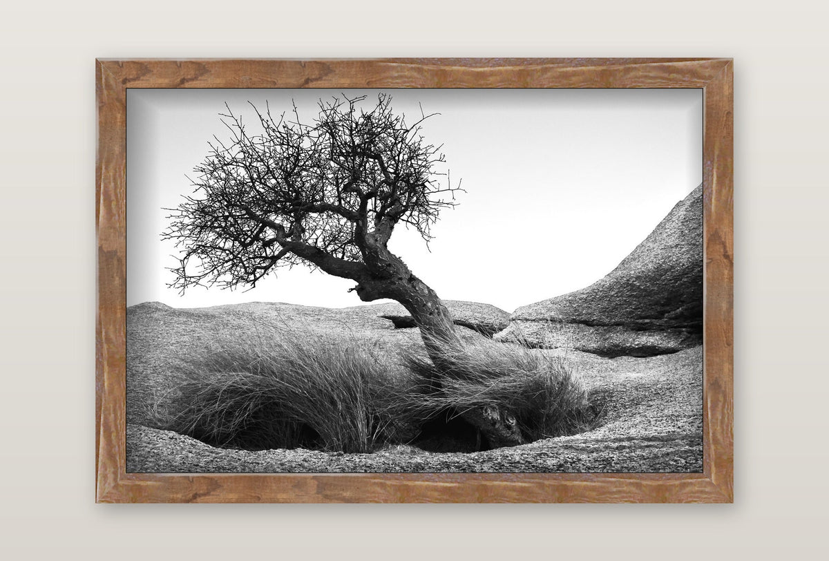 framed