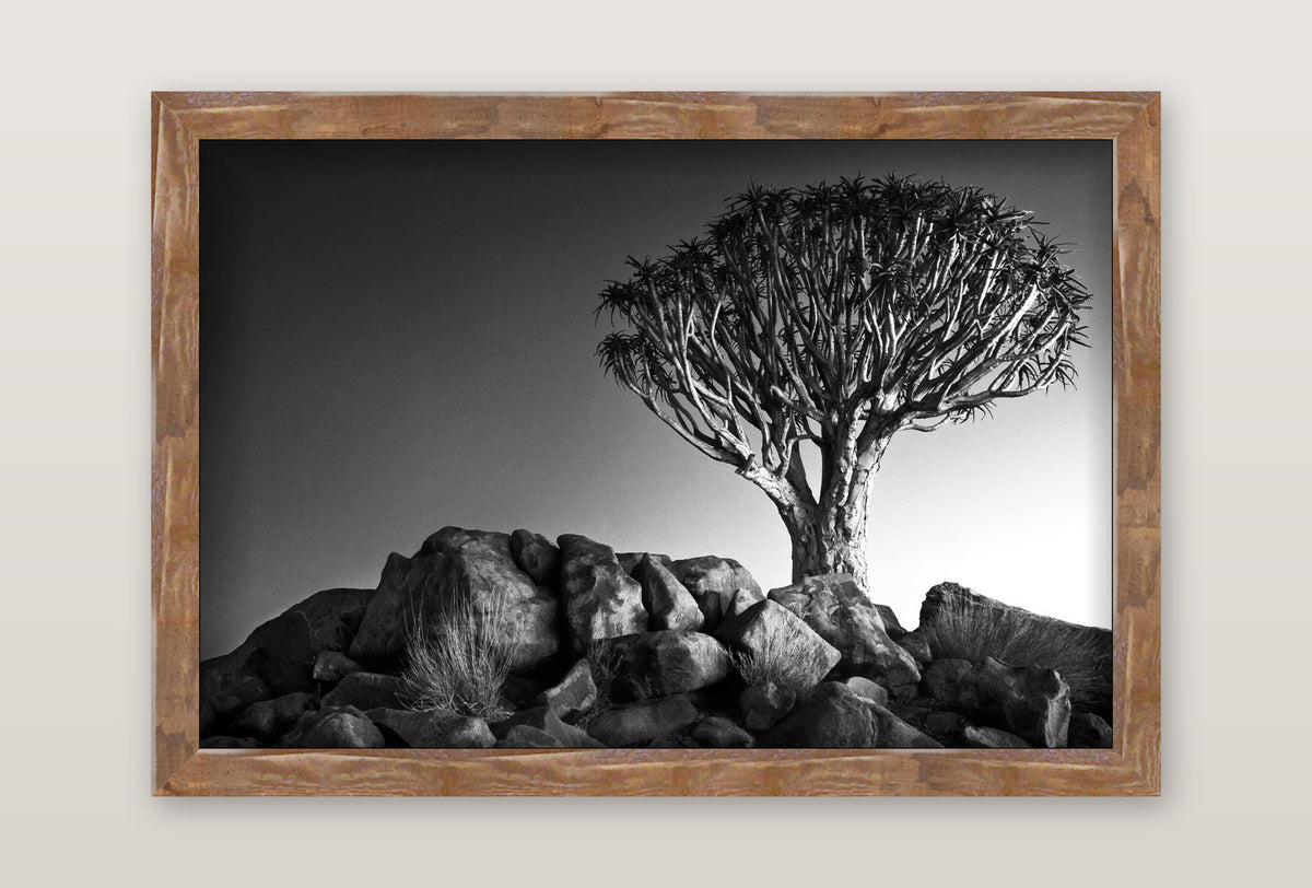 framed