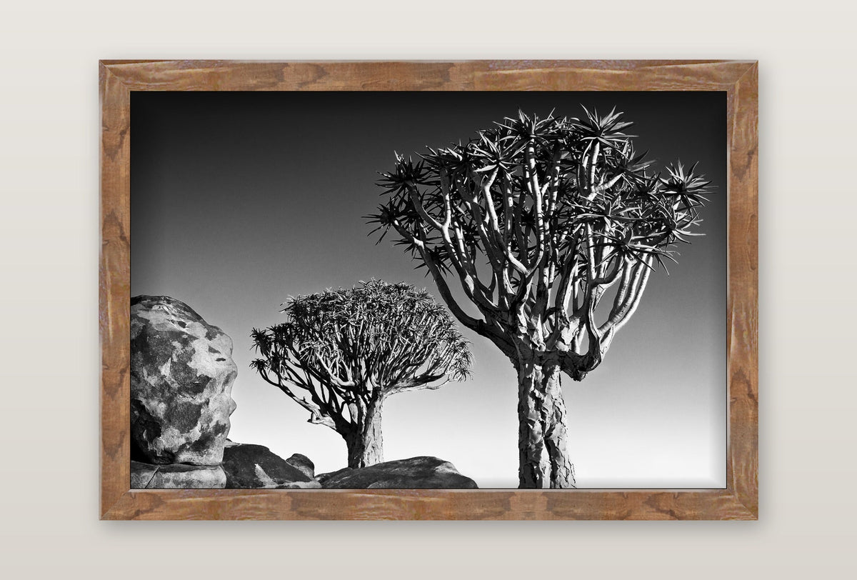framed