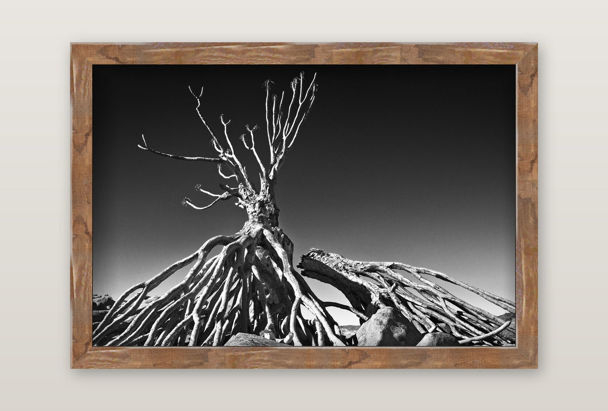 framed