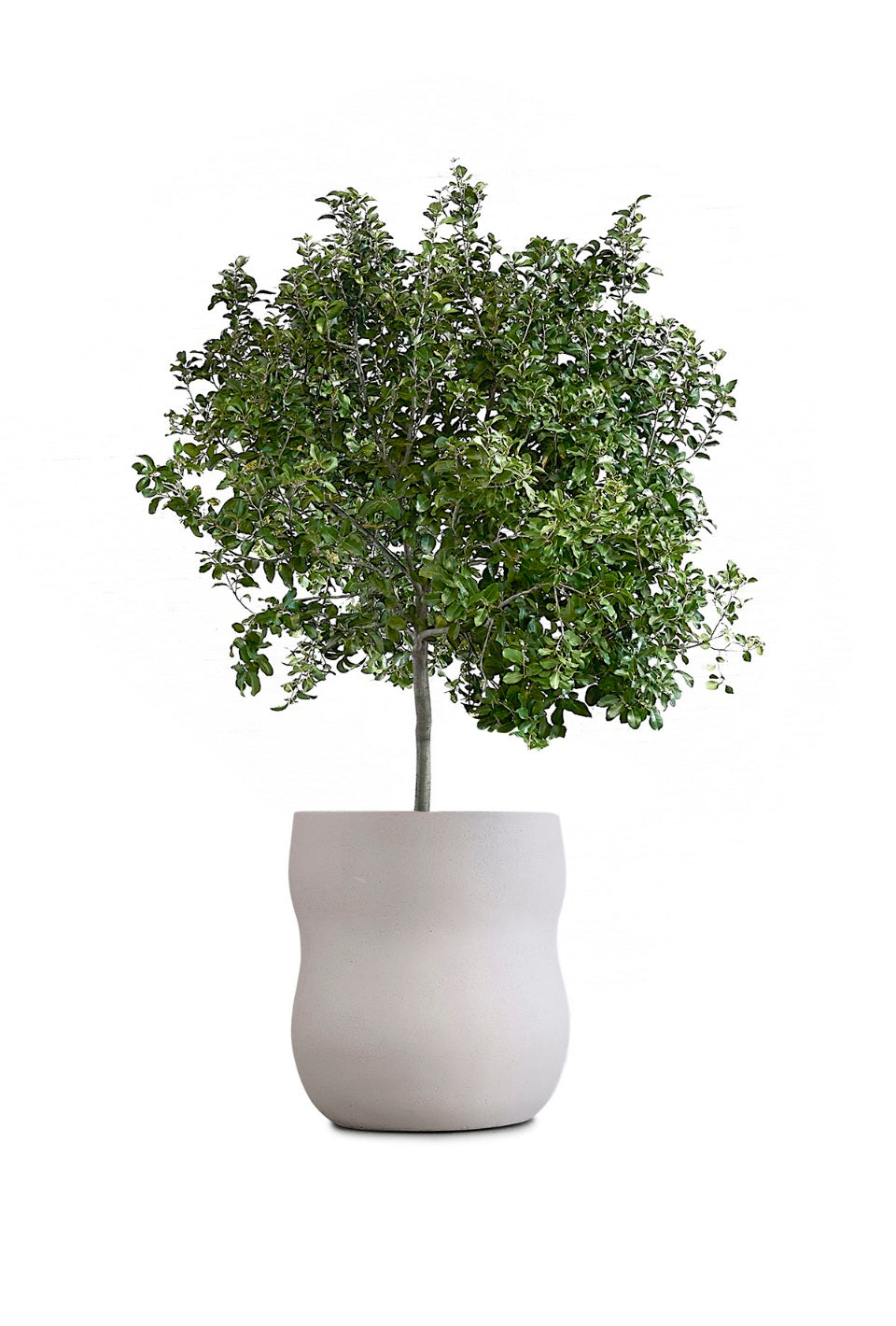 Pebble Planter Stone