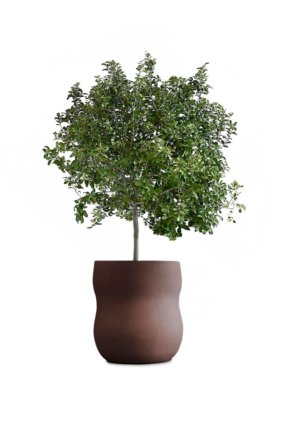 Pebble Planter Stone