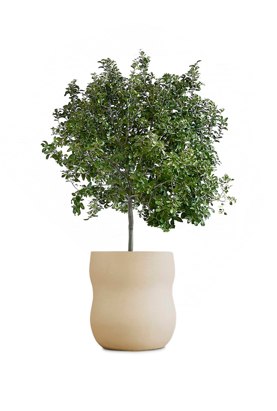 Pebble Planter Stone