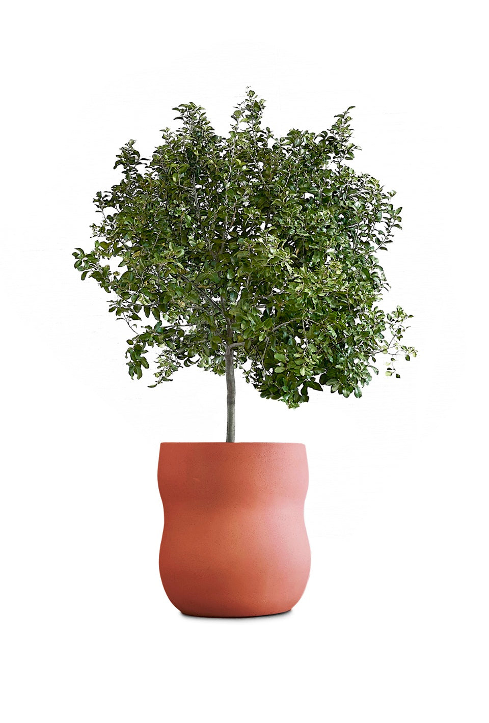 Pebble Planter Stone