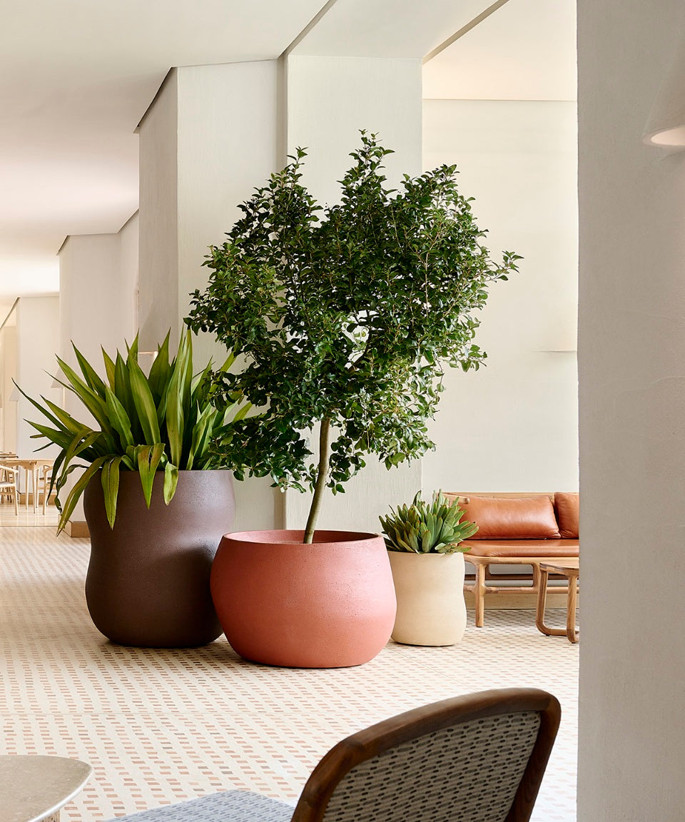 Pebble Planter Stone