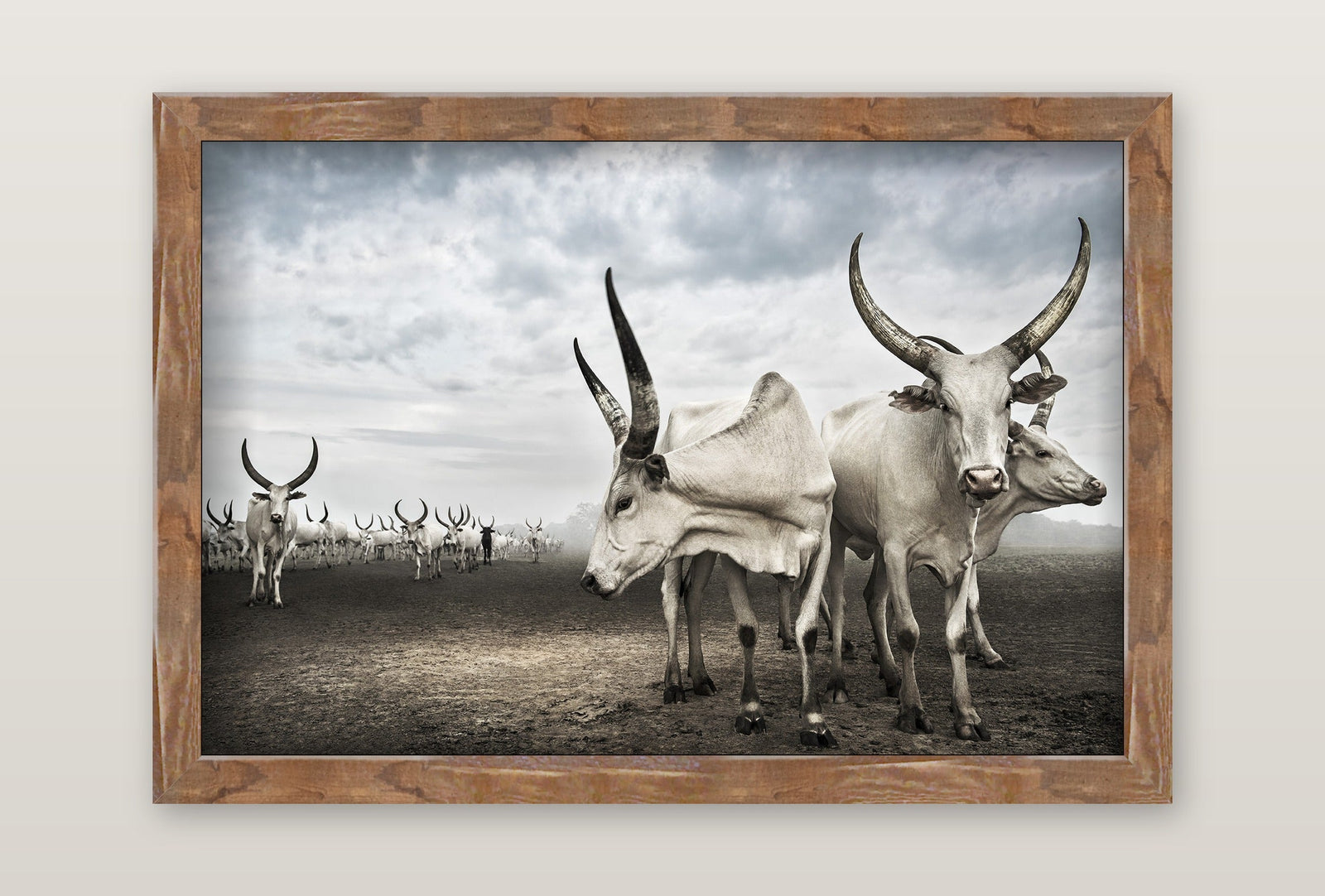 framed