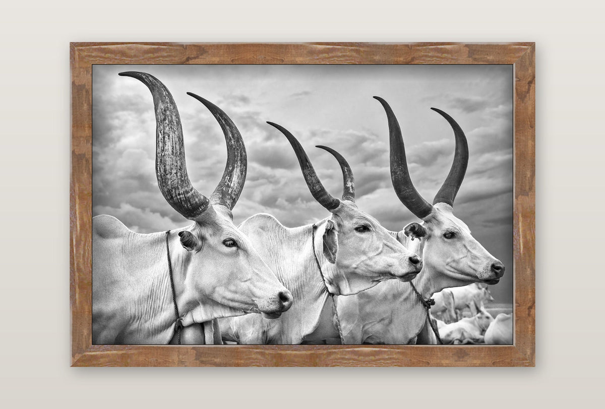 framed