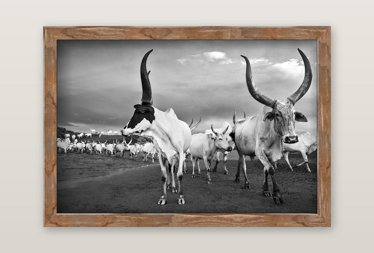 framed