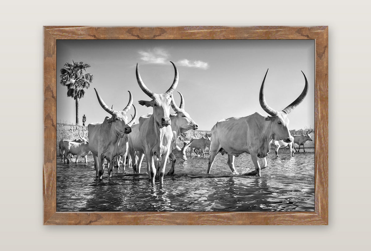 framed